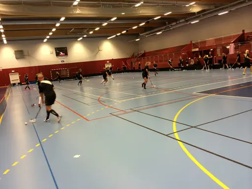 Foto: Anton Holmqvist