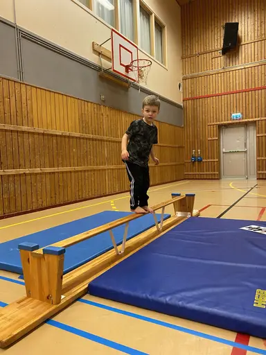 Härligt gäng