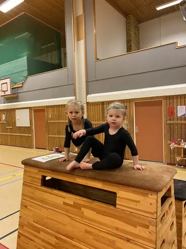 Härligt gäng