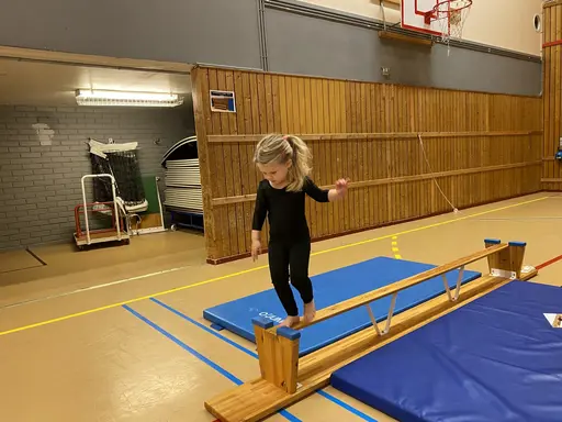 Härligt gäng