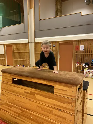 Härligt gäng