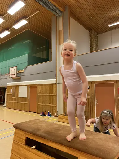 Härligt gäng
