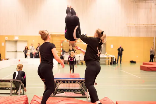 Vänksapstävling - november 2019