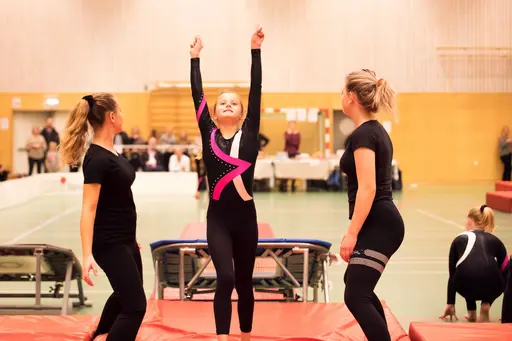 Vänksapstävling - november 2019