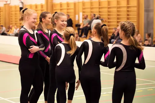 Vänksapstävling - november 2019
