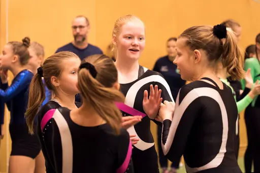 Vänksapstävling - november 2019