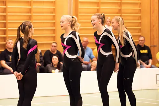 Vänksapstävling - november 2019