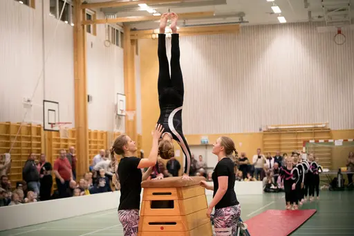 Vänskapstävling - november 2018