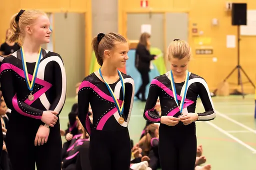Vänksapstävling - november 2019