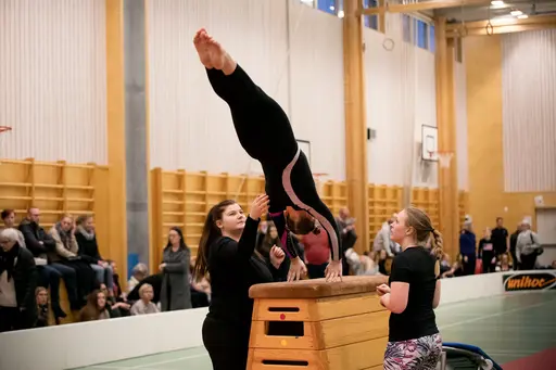 Vänskapstävling - november 2018