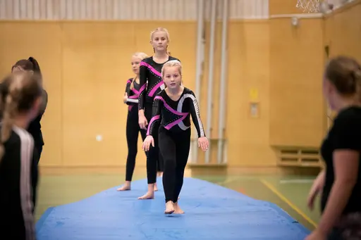 Vänskapstävling - november 2018