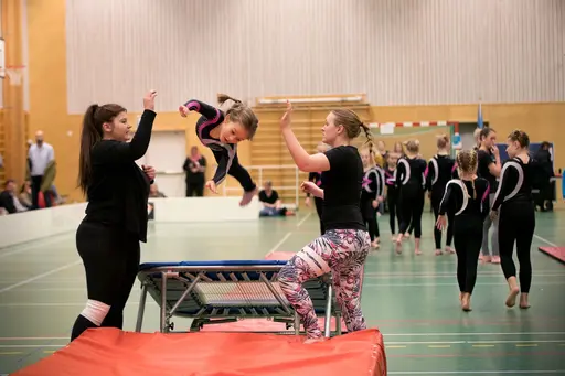 Vänskapstävling - november 2018