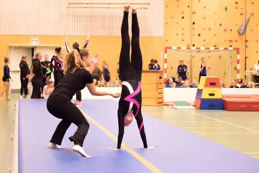 Vänksapstävling - november 2019