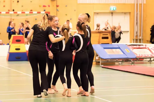 Vänksapstävling - november 2019
