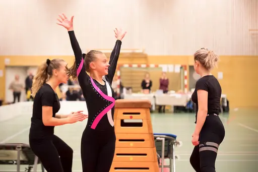 Vänksapstävling - november 2019
