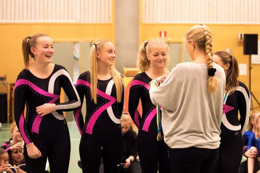 Vänksapstävling - november 2019