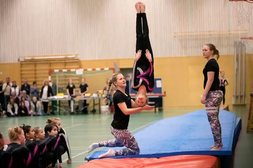 Vänskapstävling - november 2018