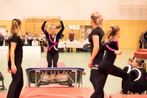 Vänksapstävling - november 2019