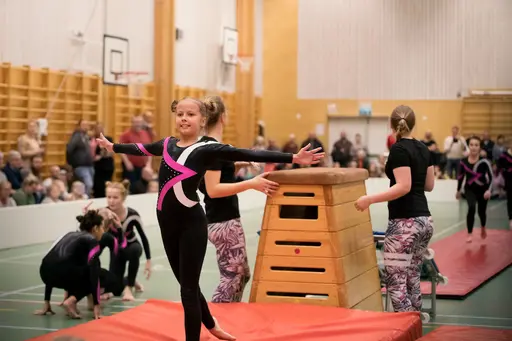 Vänskapstävling - november 2018