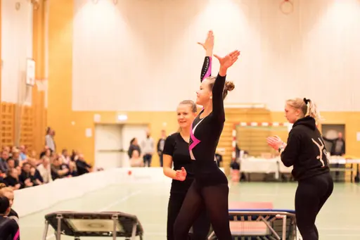 Vänksapstävling - november 2019