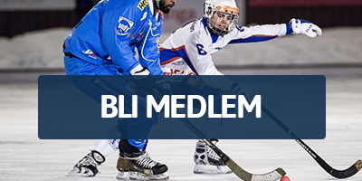 Skridskokul gamla loggan