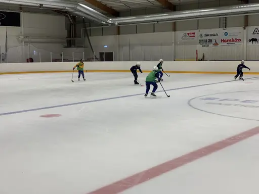 Bra kämpat!!! Dagarna bestod av fys/teambuilding, ispass, teori, pizza och lite matte. Stort tack till Henrik, Mikael, Linda, Lukas, Jessica och Viktor för hjälp med träning och mat. 