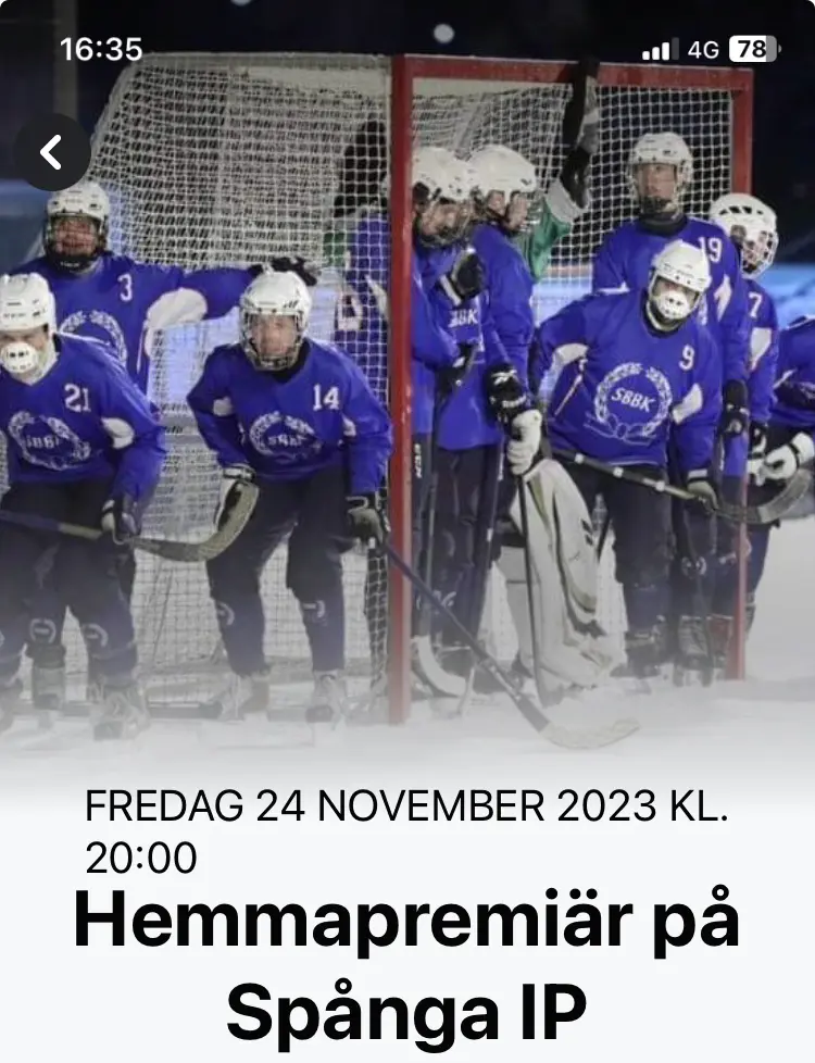 Sporten Bandy!