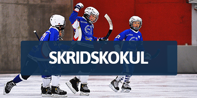 Anmälningsblankett till Skridsko- & Bandykul på länk nedan!