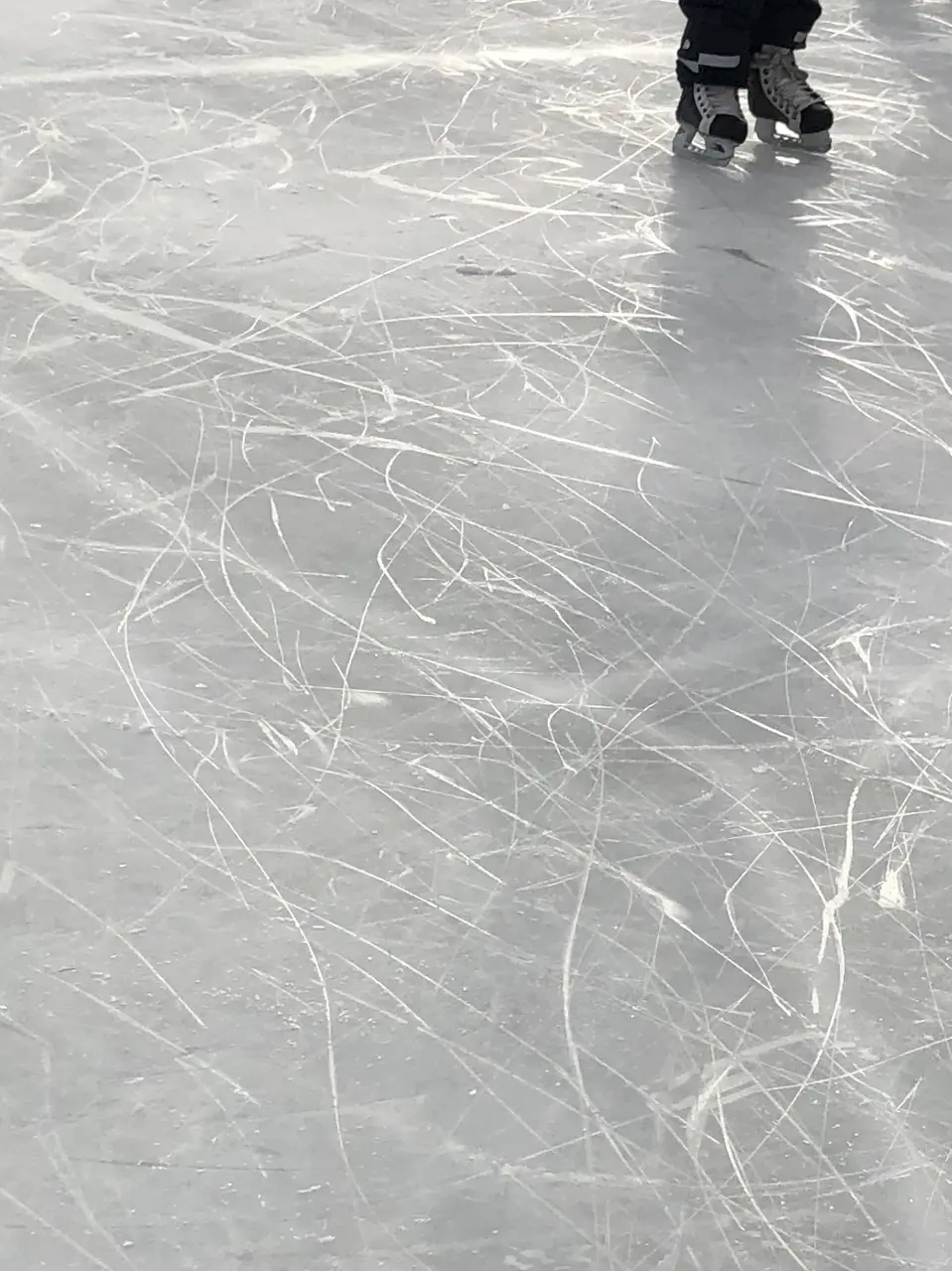 Spåren av dagens knattar
