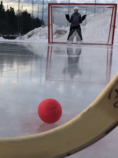 Dag gick över till kväll