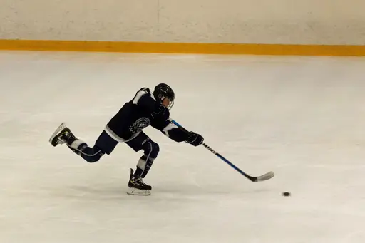 Matchen slutade 3-11.