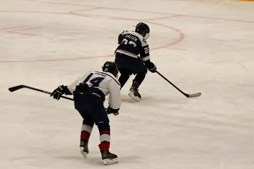Matchen slutade 3-11.