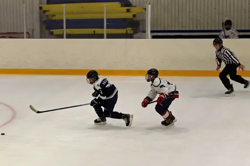 Matchen slutade 3-11.