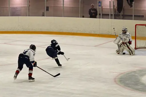 Matchen slutade 3-11.