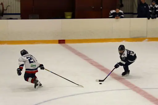 Matchen slutade 3-11.