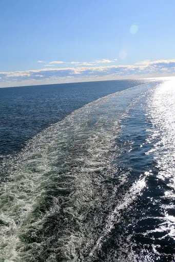 Träningsläger på Godby, Åland tillsammans med Bollnäs och Söderhamns simsällskap. 13-17/8-2018. Deltagare från HSS: Sebastian, Gustav, Alva, Linus, Linn, Lovisa, Karin och Oskar