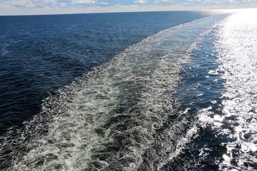 Träningsläger på Godby, Åland tillsammans med Bollnäs och Söderhamns simsällskap. 13-17/8-2018. Deltagare från HSS: Sebastian, Gustav, Alva, Linus, Linn, Lovisa, Karin och Oskar