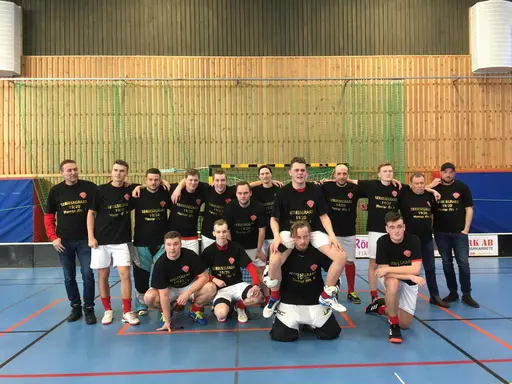 Serieseger division 4! 