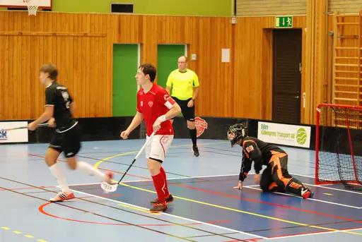 Bilder Brogårda 2018-10-06
