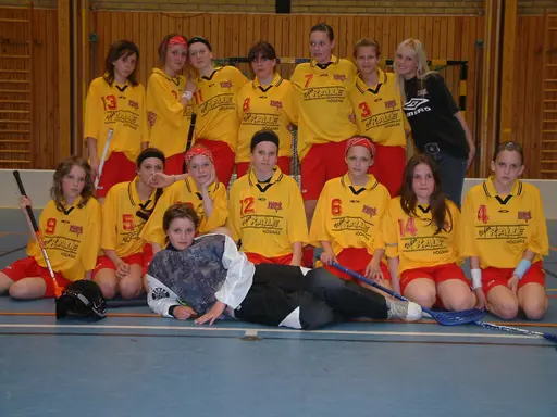 Blandande bilder mellan 2006-2008
