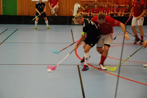 Bilder Brogårda 2018-10-06