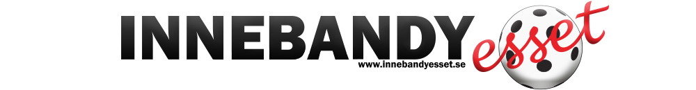 Innebandyesset