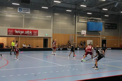 Träningsmatch
