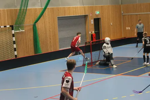 Hemma match mot Torshälla IBK
