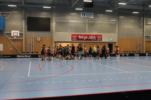 Träningsmatch