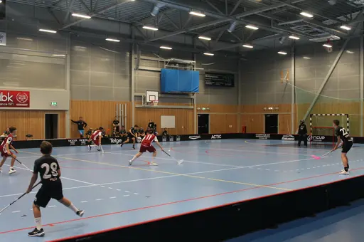 Träningsmatch