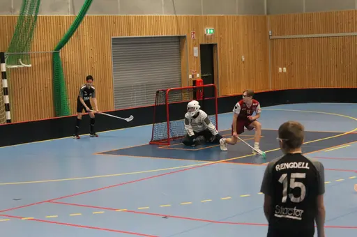 Hemma match mot Torshälla IBK