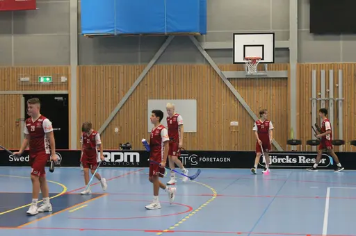 Träningsmatch