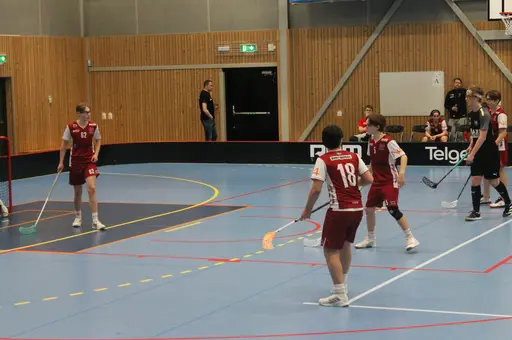 Hemma match mot Torshälla IBK