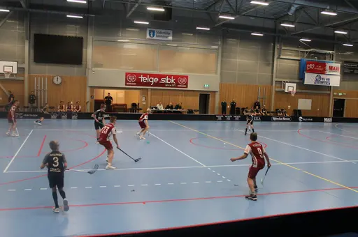 Hemma match mot Torshälla IBK